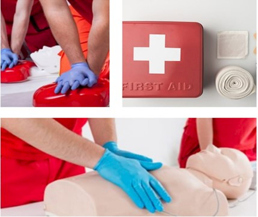ELEMENTARY FIRST AID (IMO 1.13)