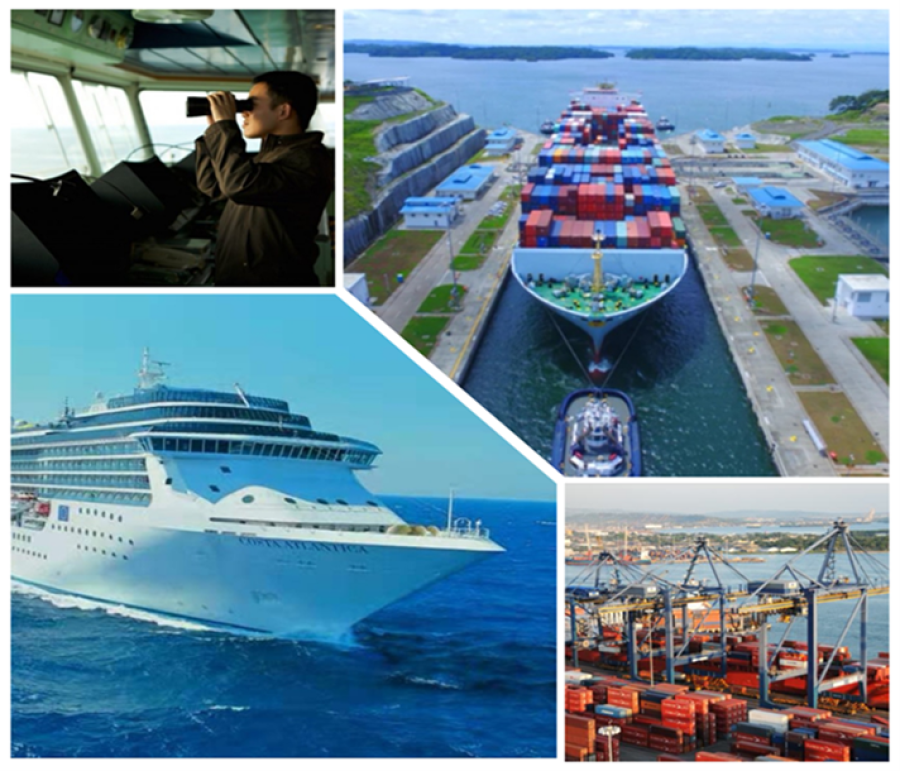 COMPANY SECURITY OFFICER (IMO 3.20)