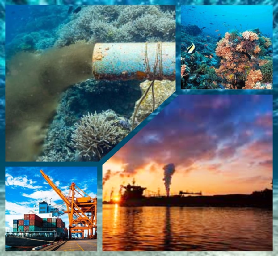 MARINE ENVIRONMENTAL AWARENESS (IMO 1.38)