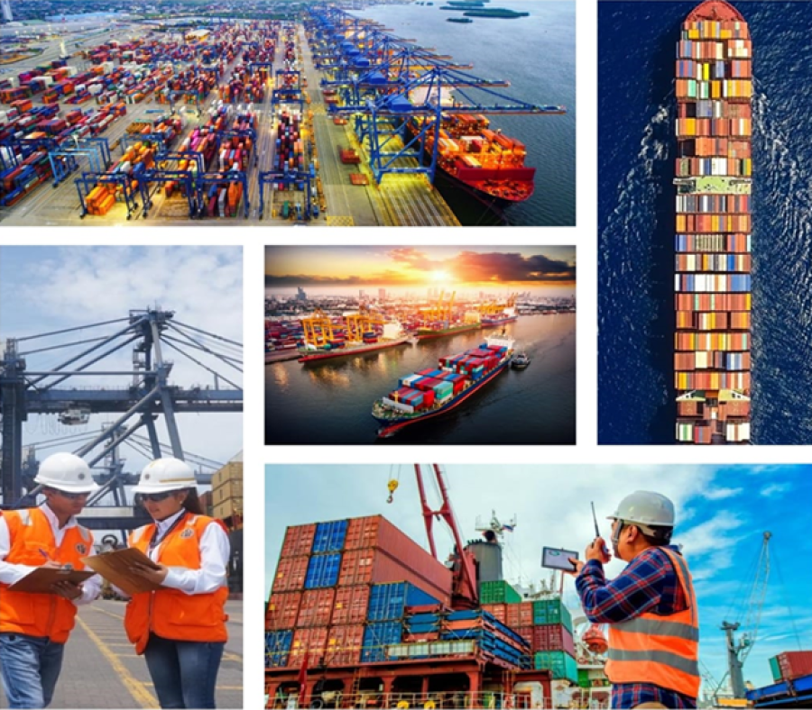 PORT FACILITY SECURITY OFFICER (IMO 3.21)