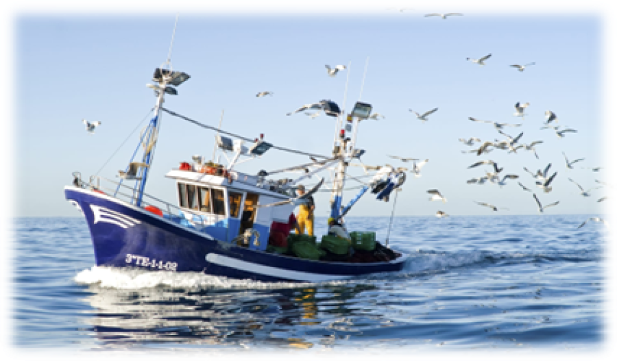 PATRÓN DE PESCA DE PRIMERA CLASE