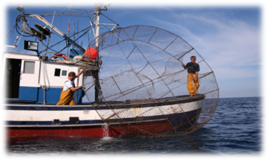 PATRÓN DE PESCA DE PRIMERA CLASE
