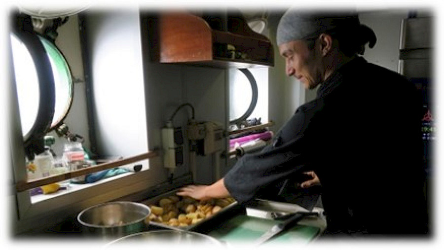 SHIP'S COOK