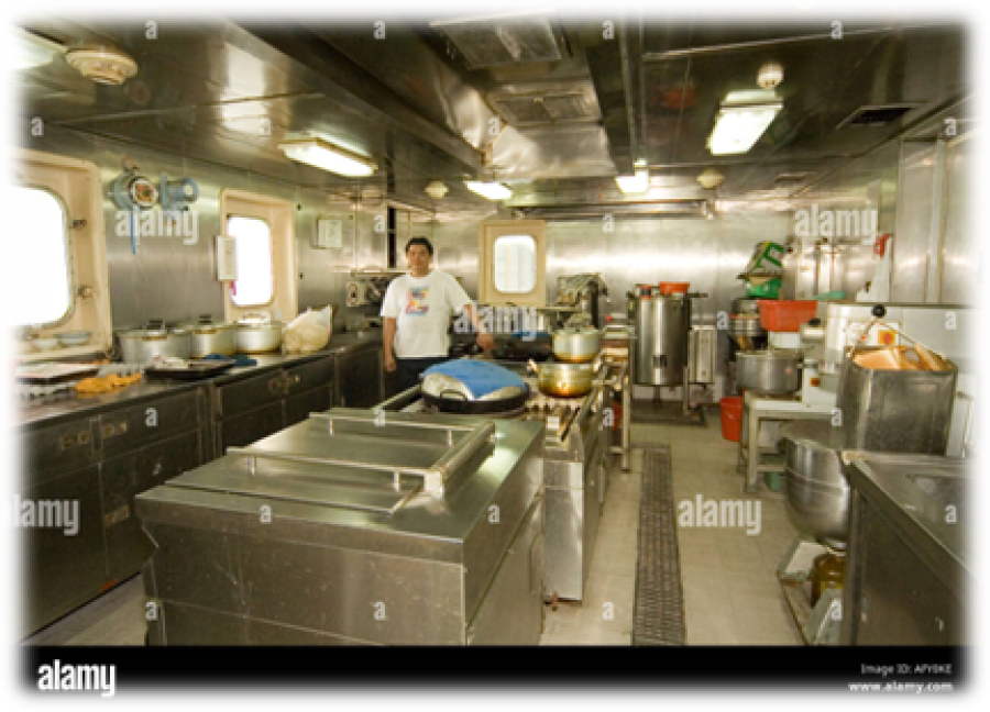 SHIP'S COOK
